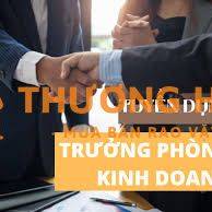 Trưởng phòng kinh doanh Hồ Chí Minh