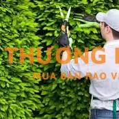 Đơn hàng cắt tỉa cây cảnh xkld Đài Loan