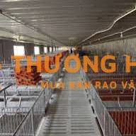 Tuyển dụng công nhân lắp đặt thiết bị chăn nuôi