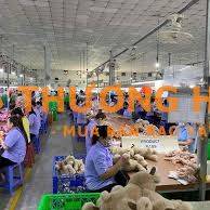 Xưởng Gấu Bông tuyển 20 Nam/Nữ LĐPT đi làm ngay