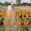 Tuyển Gấp 02 Vợ Chồng Làm Vườn Kiểng Tại Huyện Củ Chi TP.HCM – Bao Ở