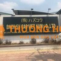 Công ty TNHH Bách Sự Cao Việt Nam