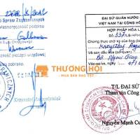 dịch vụ visa , dịch thuật công chứng , hợp pháp hóa lãnh sự giá rẻ