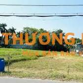 Bán gấp 120mX25m =3278m2 đất Củ Chi TPHCM 3Tỷ6