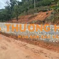 Bán lô đất 35m mặt tiền, view điện gió, vườn trà