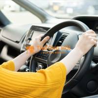 Cty Dược Phẩm Trang Ly tuyển tài xế lái xe cho sếp đưa đón nhân viên