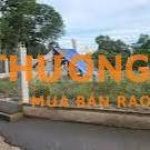 1170m2 khu trung tâm Tân Nhựt (sẵn 170m2 thổ cư)