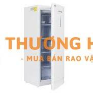 Bán tủ đông đứng alaska DF-217-215 lit