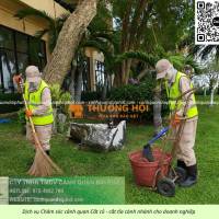 DỊCH VỤ VỆ SINH VĂN PHÒNG – NHÀ XƯỞNG & CHĂM SÓC CÂY XANH TẠI ĐỒNG NAI