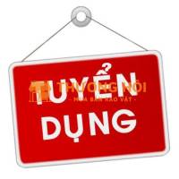 TUYỂN DỤNG GẤP : ĐIỀU PHỐI XE TẢI