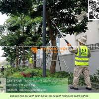 Dịch vụ chăm sóc cây xanh thảm cỏ tại KCN Nhơn Trạch Đồng Nai