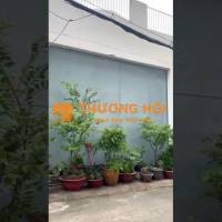 CHÍNH CHỦ BÁN NHÀ SỐ 149/37 TRỊNH ĐÌNH TRỌNG, PHƯỜNG PHÚ TRUNG