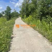 Cần bán 1 Quỹ đất 81.242 m2, tại xã Phước Bình, huyện Long Thành    tỉnh Đồng Nai