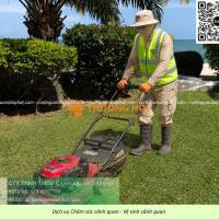 DỊCH VỤ BẢO DƯỠNG CẢNH QUAN TRỌN GÓI KCN LONG ĐỨC, ĐỒNG NAI