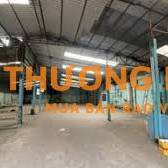 CHO THUÊ NHÀ XƯỞNG MT QUỐC LỘ 1A GẦN CHỢ BÌNH CHÁNH
