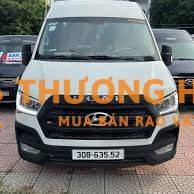 Hyundai Solati Limosin 2019 16 chỗ Trắng