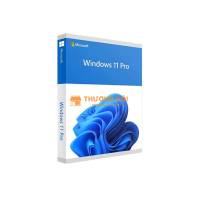 Windows 11 pro 64-bit all languages pkc license online download