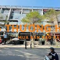 Toà 6T + 1 hầm thang máy vị trí đắc địa Mp Hào Nam vỉa hè rộng kd đỉnh