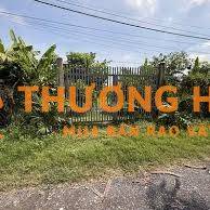 Bán 10300m2 đất vườn tại xã Tân Nhựt, gần Bệnh viện Nhi Đồng Thành Phố