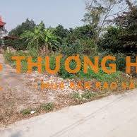 CẦN BÁN GẤP 133m² ĐẤT THỔ CƯ CHÍNH CHỦ – NGỌC TẢO, PHÚC THỌ, HÀ NỘI