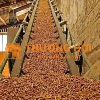 TÂY NINH - 05 NHÂN VIÊN VẬN HÀNH LÒ HƠI