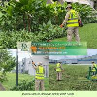 DỊCH VỤ CẮT CỎ – CHĂM SÓC CÂY XANH BIÊN HÒA ĐỒNG NAI | CHUYÊN NGHIỆP – UY TÍN