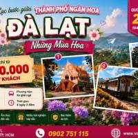 LỄ 2/9 – ĐÀ LẠT VÀ NHỮNG MÙA HOA | 4N3Đ 🌸