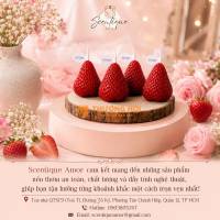 Mua Nến Thơm Tạo Hình Dâu Tây T003 Tại TP HCM