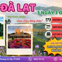 LỄ QUỐC KHÁNH 2/9 – ĐÀ LẠT | 3 NGÀY 3 ĐÊM 🌸🏔️