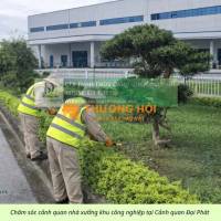 CHĂM SÓC CÂY XANH – CẮT CỎ KCN AN PHƯỚC ĐỒNG NAI