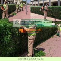 CHĂM SÓC CÂY XANH – THẢM CỎ KCN LONG THÀNH, ĐỒNG NAI CHUYÊN NGHIỆP
