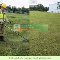 Dịch Vụ Cắt Cỏ Chăm Sóc Cây Xanh KCN Long Đức Đồng Nai