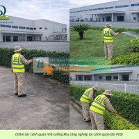 Dịch vụ Cắt cỏ Chăm sóc cây xanh Thủ Đức TPHCM