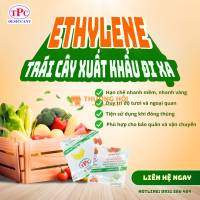 Gói hút Ethylene cho trái cây, nhỏ gọn - hiệu quả vượt trội