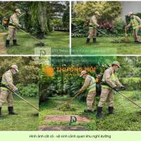 Dịch vụ cắt cỏ – cắt tỉa cây xanh Long Bình, Đồng Nai