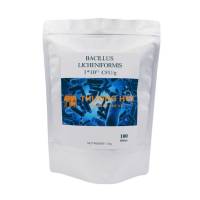 BACILLUS LICHENIFORMIS KHỬ KHÍ ĐỘC - SẠCH ĐÁY AO