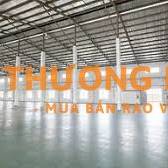 CHO THUÊ NHÀ XƯỞNG VƯỜN LÀI, 12x30m, nở hậu 20m, TDT 450m2