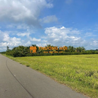 hơn 3 sào view cánh đồng, đang trồng dừa, trái cây, gần bênh viện mới giá 2,7 tỷ