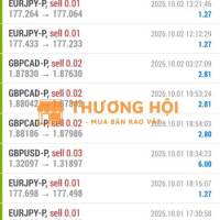 Dịch vụ tư vấn hỗ trợ giao dịch với robot trading