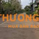 Cần bán 7000m2 đất mặt tiền đường