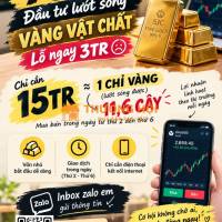 Dịch vụ tư vấn tài chính, tìm kiếm đối tác