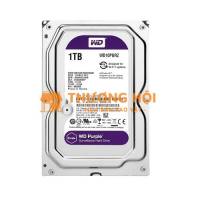 Ổ CỨNG WESTERN 1TB PURZ – LƯU TRỮ DỮ LIỆU TIỆN LỢI, DUNG LƯỢNG LỚN
