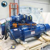 Pa Lăng Sungdo Dầm Đơn 5 Tấn Trần Thấp - 2 Cấp Tốc Độ