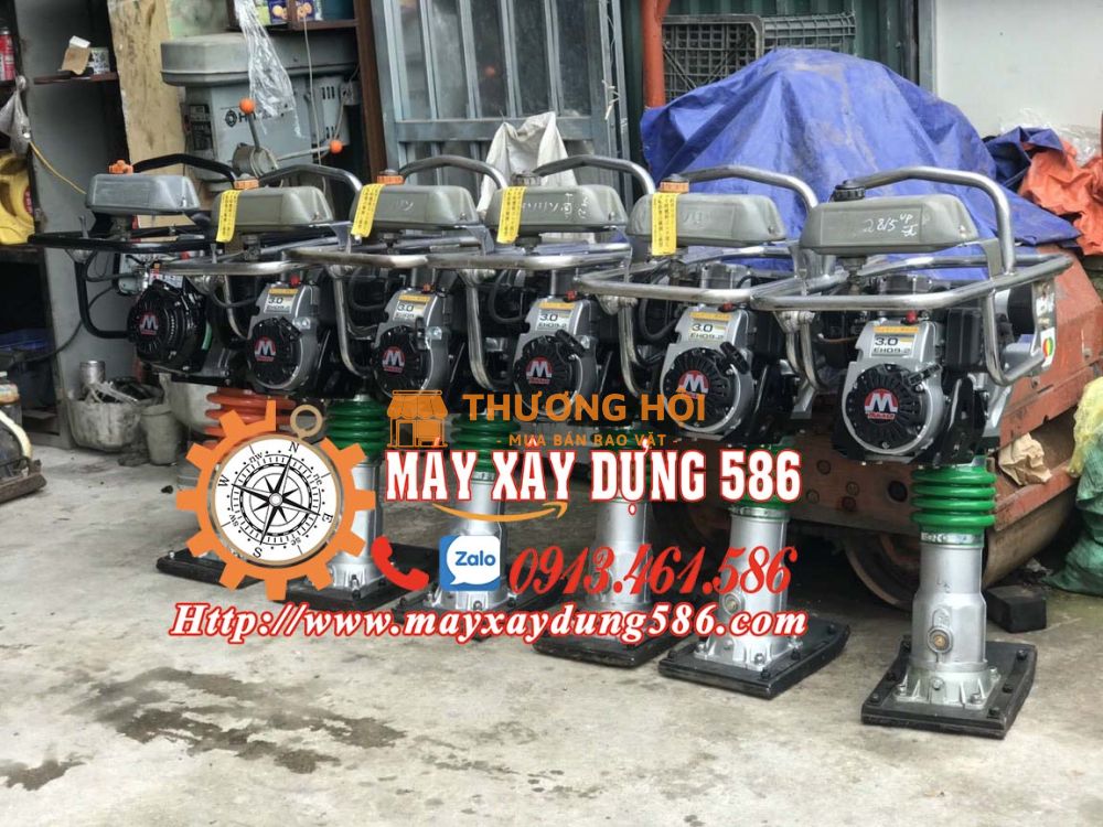 Đầm cóc mikasa nhật bãi, giá cạnh tranh