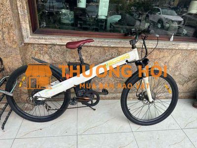 bán xe đạp điện trợ lực
