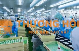 Tuyển nhân viên làm việc trong xưởng CB thực phẩm