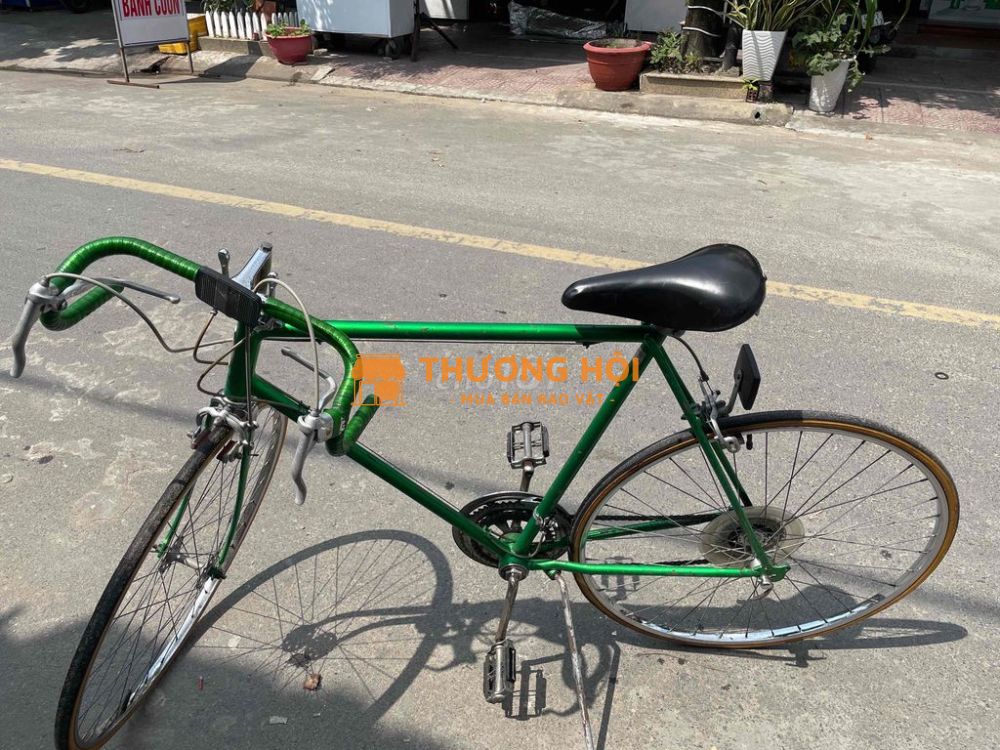Xe đạp Schwinn Đức cổ màu xanh lá