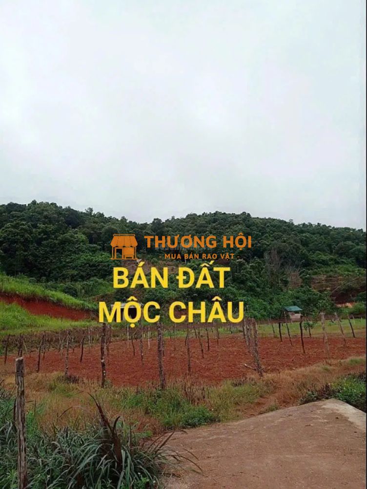 Chính chủ cho thuê căn hộ chung cư TX05 số 43 Ngụy Như Kon Tum, Quận Thanh Xuân - Hà Nội