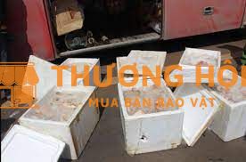 Tuyển nam 18 - 30 có sức khỏe làm bao ăn ở lại