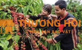 Tuyển dụng 2 người làm vườn tại Đắk Lắk